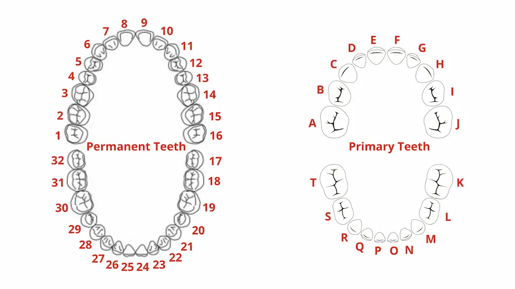 theeth-number-1